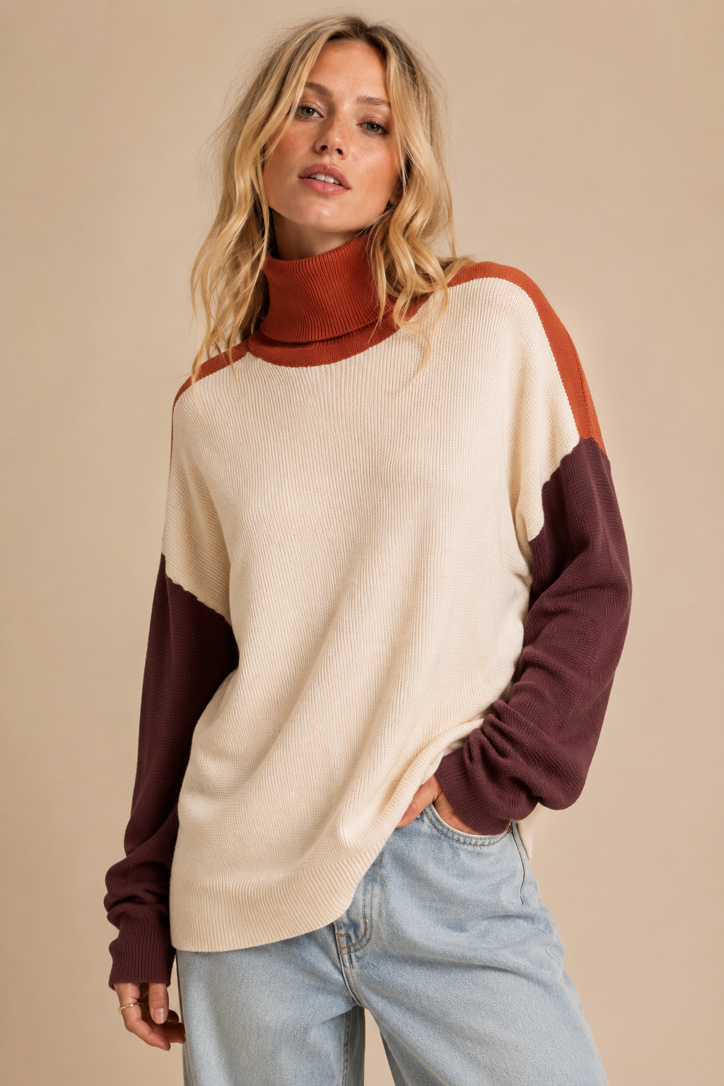 Colorblock Turtleneck Knit Sweater