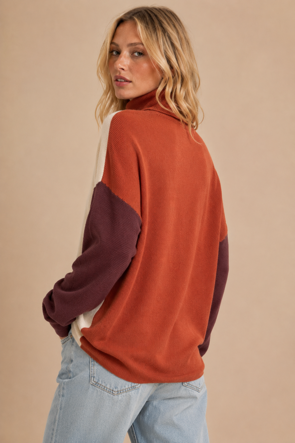 Colorblock Turtleneck Knit Sweater